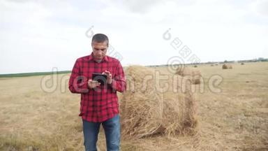 智慧农业理念.. 男人的生活方式农民在数字平板电脑上的田野里研究干草堆。 慢动作